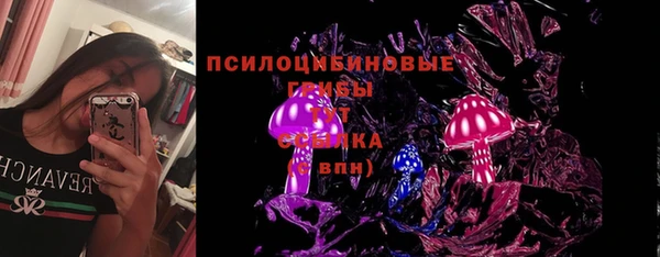 амф Елабуга