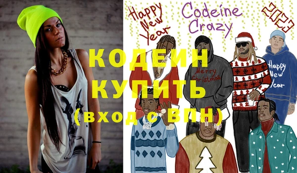 крисы Ельня