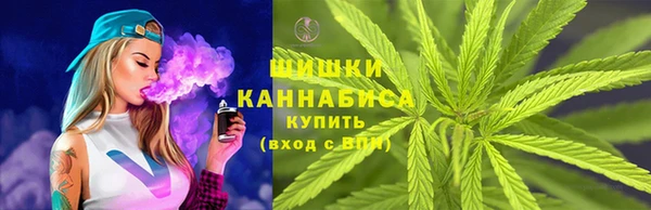 мет Елизово