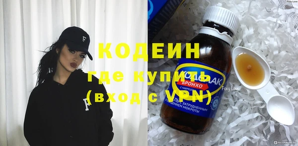 крисы Ельня