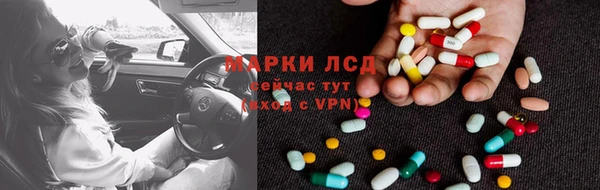 крисы Ельня