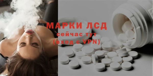 крисы Ельня