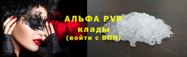 крисы Ельня