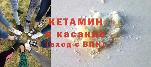 крисы Ельня