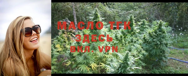 крисы Ельня