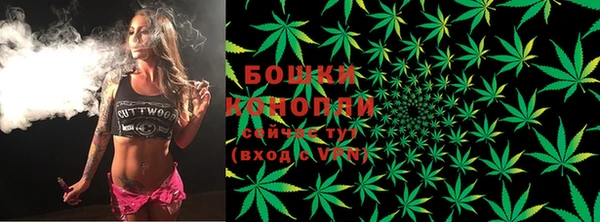амф Елабуга