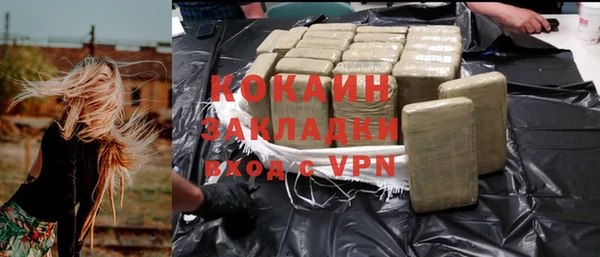 крисы Ельня