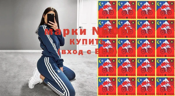 крисы Ельня