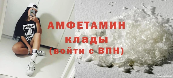 крисы Ельня
